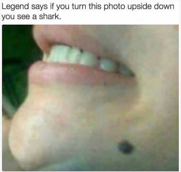 Daily Pictures. Part 2 (76 pics)