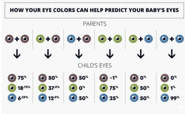 Useful Infographics For Parents (25 pics)