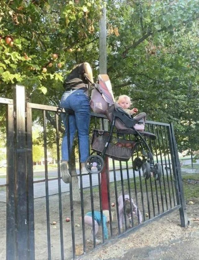 Not Very Smart People (24 pics)