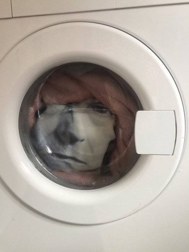 Creepy Finds (21 pics)