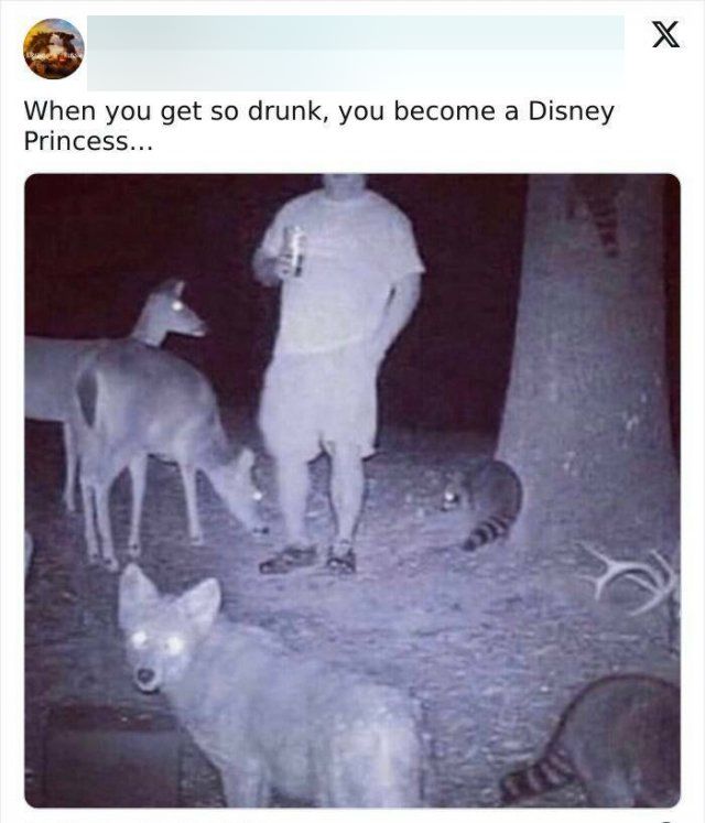 Funny Memes (20 pics)