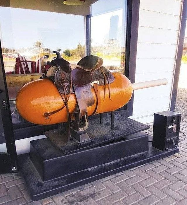 What Is Going On Here? (50 pics)