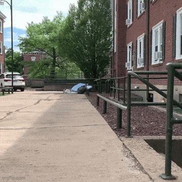 Acid GIFs, October 20 (25 gifs)