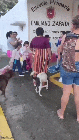 Acid GIFs, October 20 (25 gifs)