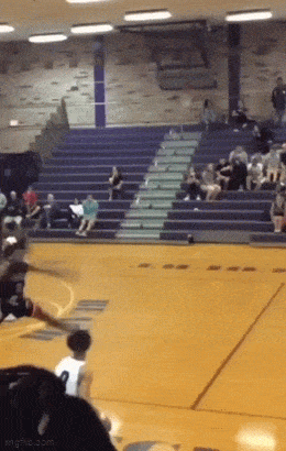 Acid GIFs, October 20 (25 gifs)