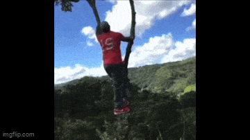 Acid GIFs, October 20 (25 gifs)