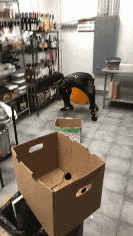 Acid GIFs, October 20 (25 gifs)