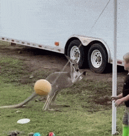 Acid GIFs, October 20 (25 gifs)