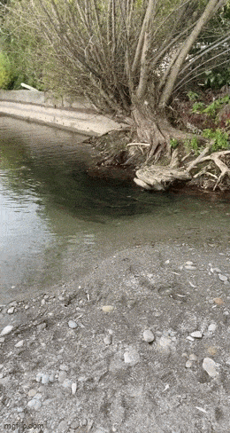 Acid GIFs, October 20 (25 gifs)