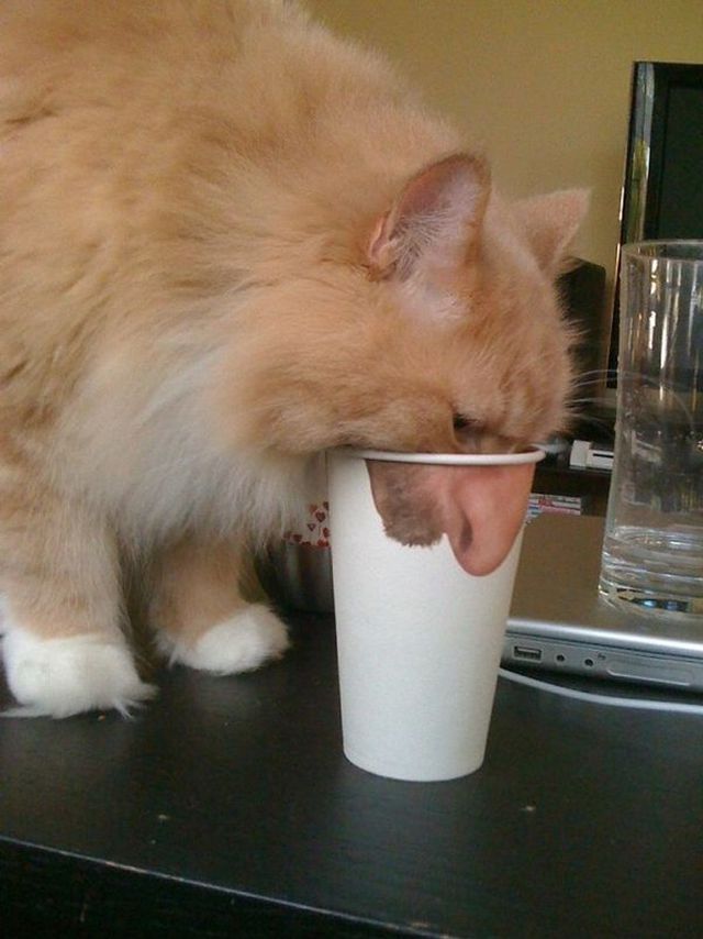 Curious Coincidences (18 pics)