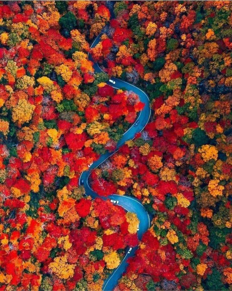 Daily Pictures. Part 1 (74 pics)