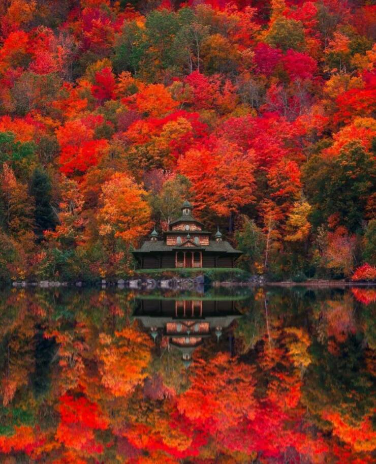 Daily Pictures. Part 2 (74 pics)
