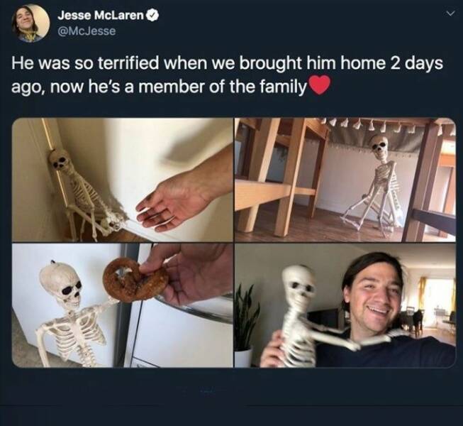 Daily Pictures. Part 1 (74 pics)