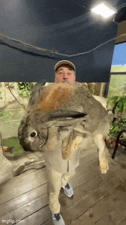 Acid GIFs, October 23 (25 gifs)