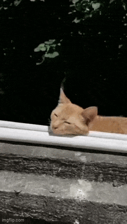 Acid GIFs, October 23 (25 gifs)