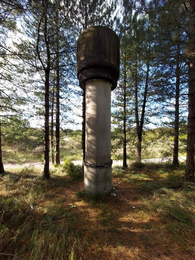 What Are These Things? (18 pics)
