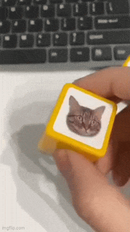 Acid GIFs, October 25 (25 gifs)