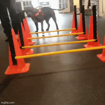 Acid GIFs, October 25 (25 gifs)