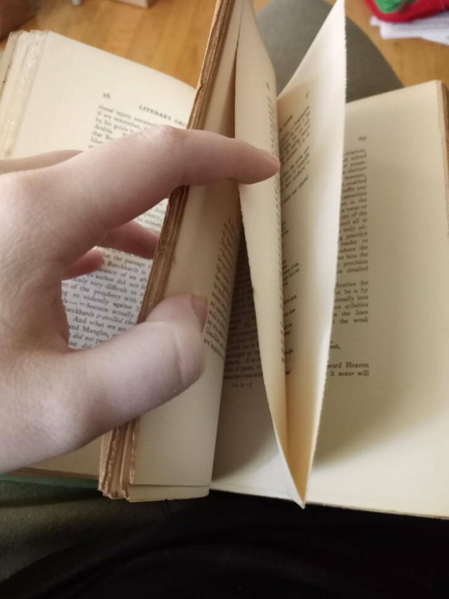 Interesting And Unexpected Finds (16 pics)