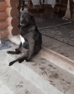 Acid GIFs, October 26 (25 gifs)