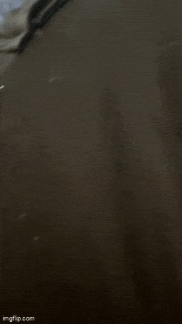 Acid GIFs, October 26 (25 gifs)