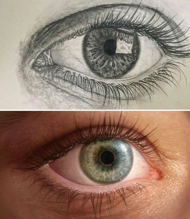 Artists Share Their Progress (15 pics)
