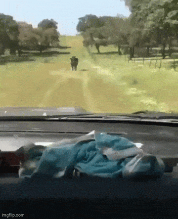 Acid GIFs, October 27 (25 gifs)