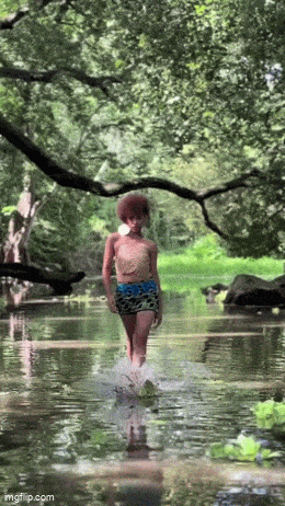 Acid GIFs, October 27 (25 gifs)