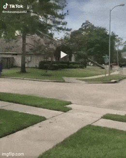 Acid GIFs, October 27 (25 gifs)