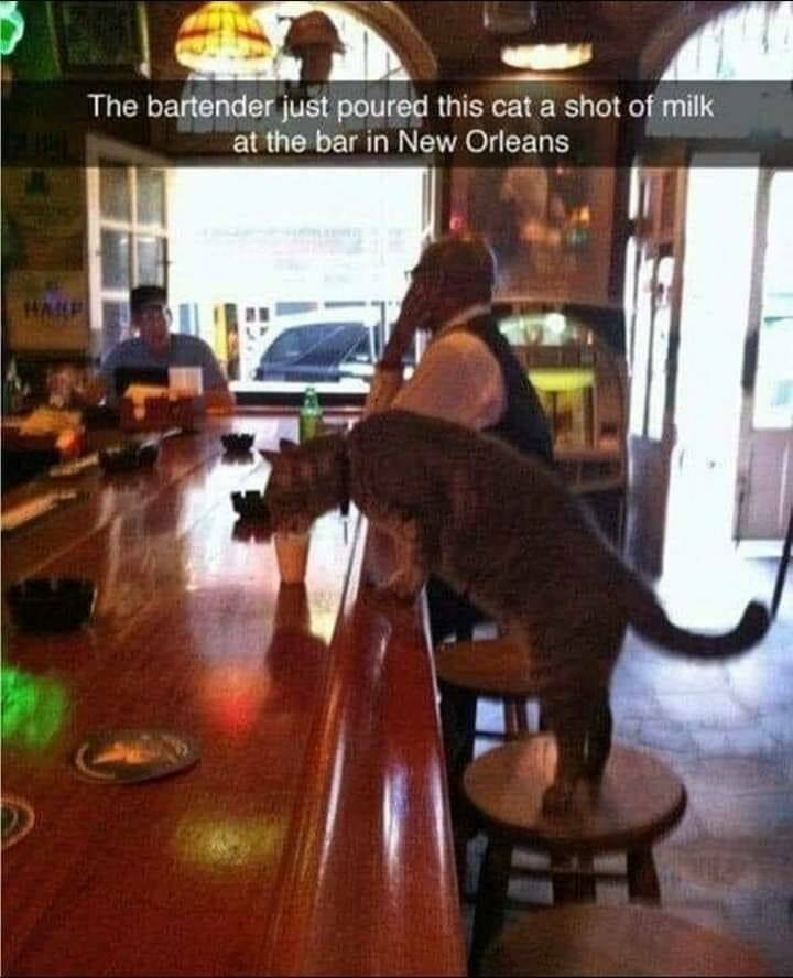 Daily Pictures. Part 2 (74 pics)