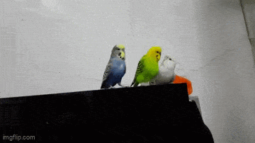 Acid GIFs, October 30 (25 gifs)