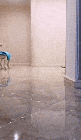 Acid GIFs, October 30 (25 gifs)