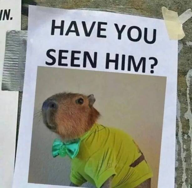 Daily Pictures. Part 1 (70 pics)