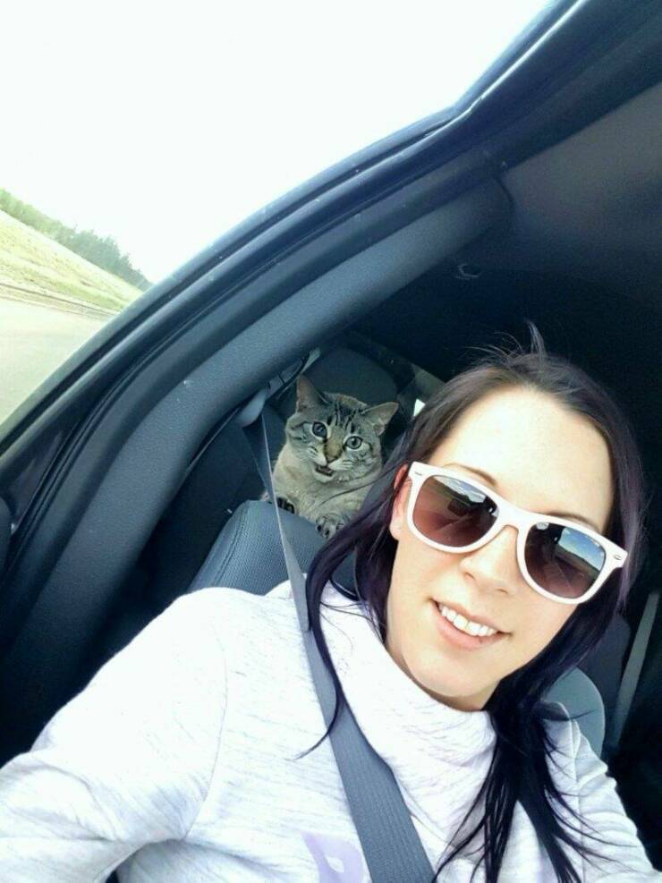 Daily Pictures. Part 1 (70 pics)