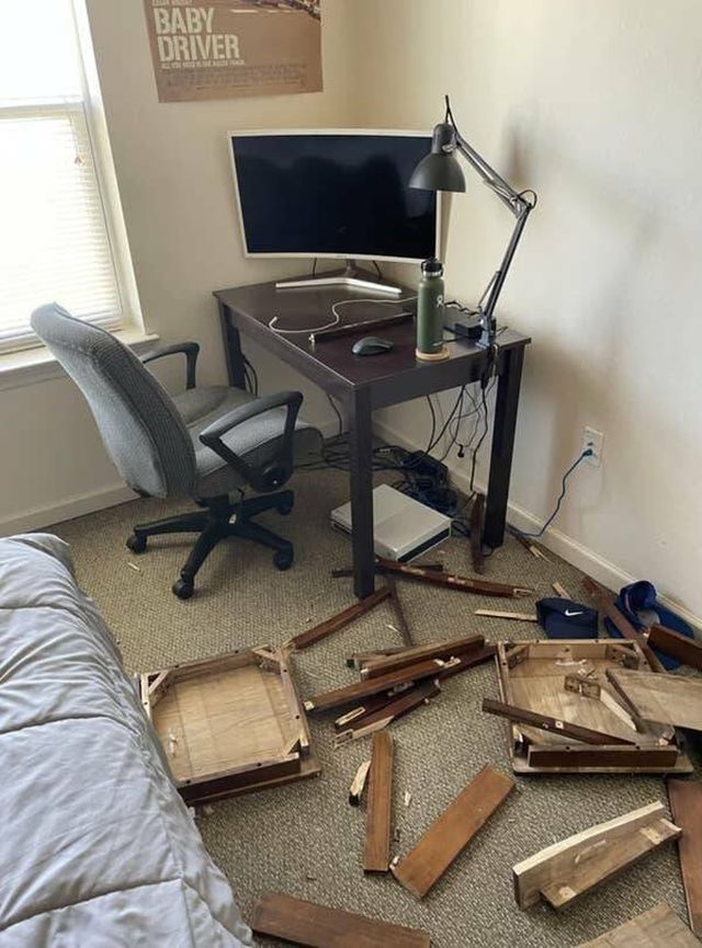 Annoying Roommates (20 pics)