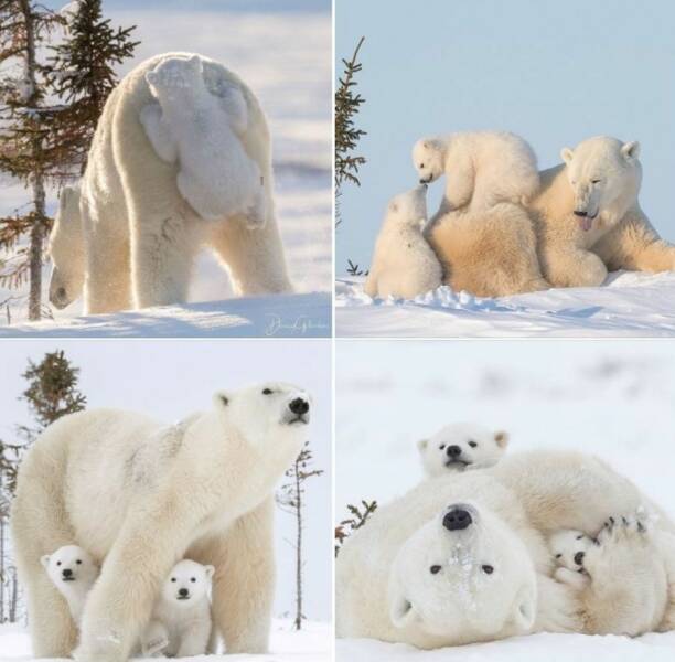 Daily Pictures. Part 1 (77 pics)