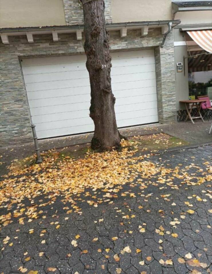Daily Pictures. Part 1 (77 pics)