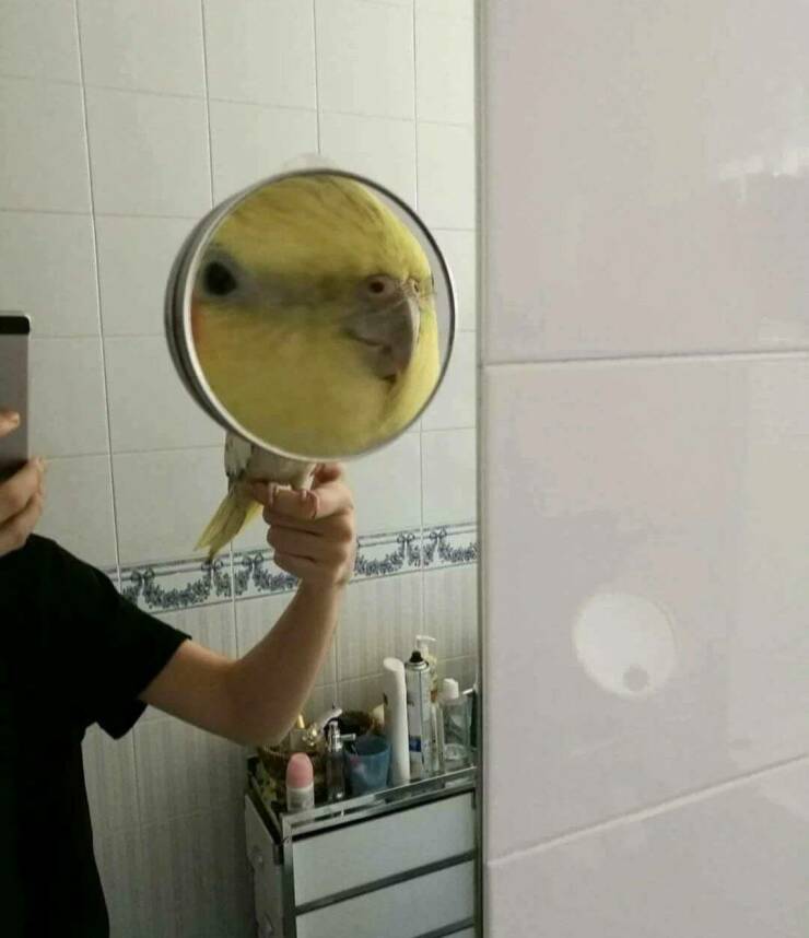 Daily Pictures. Part 2 (76 pics)