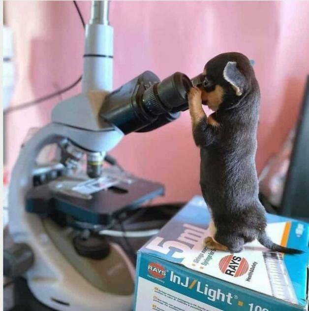 Daily Pictures. Part 2 (73 pics)