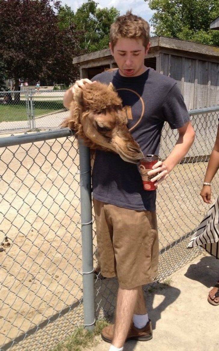 Look Twice (22 pics)