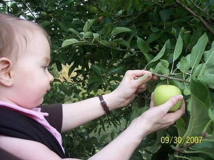 Look Twice (22 pics)