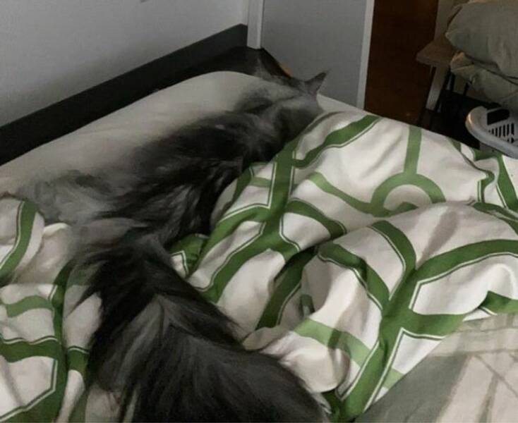 Look Twice (22 pics)