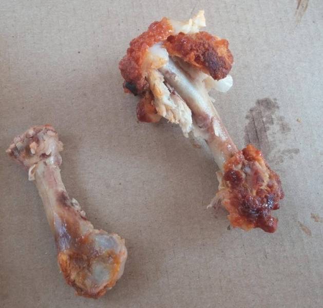 There Are Two Types Of People (20 pics)