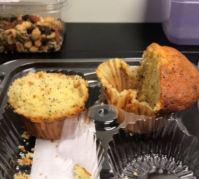 There Are Two Types Of People (20 pics)