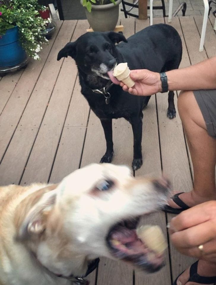 There Are Two Types Of People (20 pics)