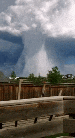 Acid GIFs, November 3 (25 gifs)
