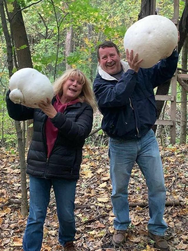 Giant Things (15 pics)