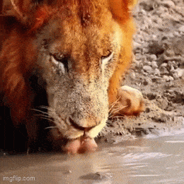 Acid GIFs, November 6 (25 gifs)