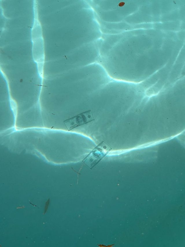 Interesting Finds (17 pics)