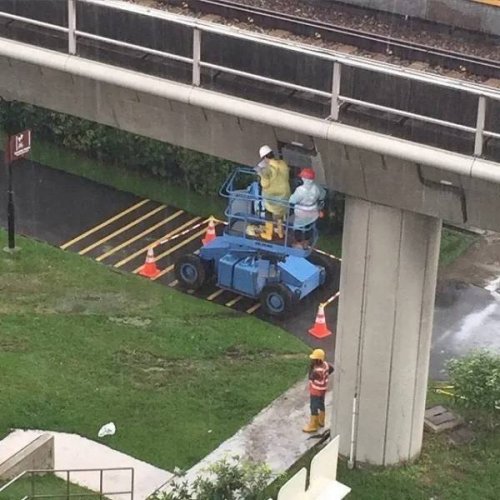 Look Twice (21 pics)